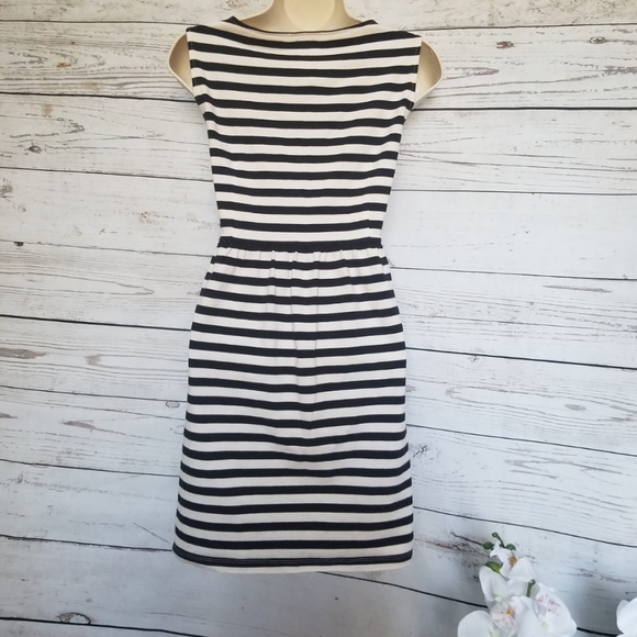 Ann Taylor LOFT B/W Lace Striped Fit n Flare Dress - Picture 3 of 4